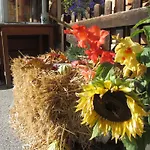 Gloesalm Ramsau am Dachstein