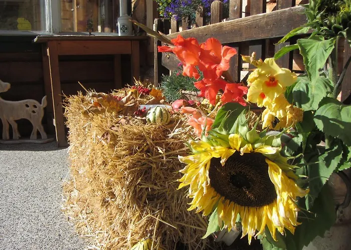 Gloesalm رامساو أم داتشستين