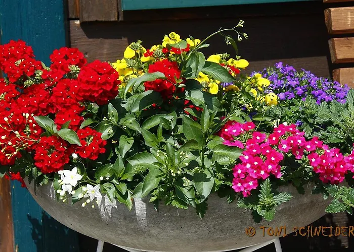 아파트 Gloesalm *