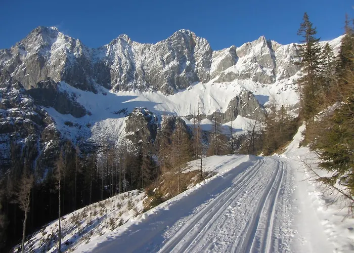 Gloesalm Apartment *