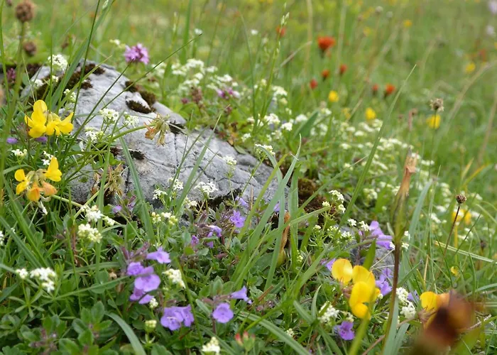 Gloesalm 아파트 람자우 암 다흐스타인